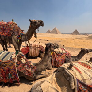 Giza/Saqqara