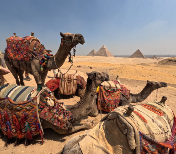 Giza/Saqqara